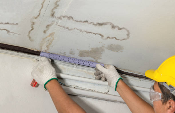 Reliable Flood Cleanup contractor in Put In Bay, OH by Water Damage Irwin